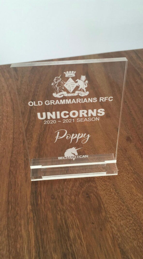 placca riconoscimento in plexiglas trofeo economici Mini premio acrilico inciso al laser personalizzato premiazione coppa personalizzata