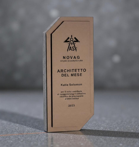 Premio personalizzato in plexiglass e legno , trofeo di riconoscimento in legno personalizzato, targa in plastica incisa per dipendenti,