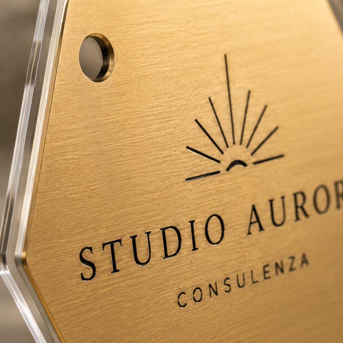 Targa Esagonale Studio Professionale Personalizzata | Plexiglas Trasparente e Rowmark ABS | 4 Fori Ø10 mm | Pezzo Singolo