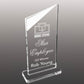 premio ovale con decoro in plexiglas trofeo economici Mini premio acrilico inciso al laser personalizzato premiazione in plexiglas coppa